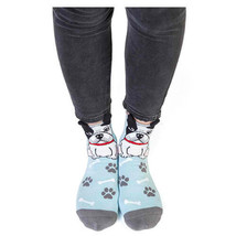 Feet Speak Socks - French Bulldog - $20.23