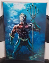 DC Aquaman Glossy Print 11 x 17 In Hard Plastic Sleeve - $24.99