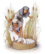 Baby Moses Cross Stitch Pattern***L@@K*** - $4.00 CAD