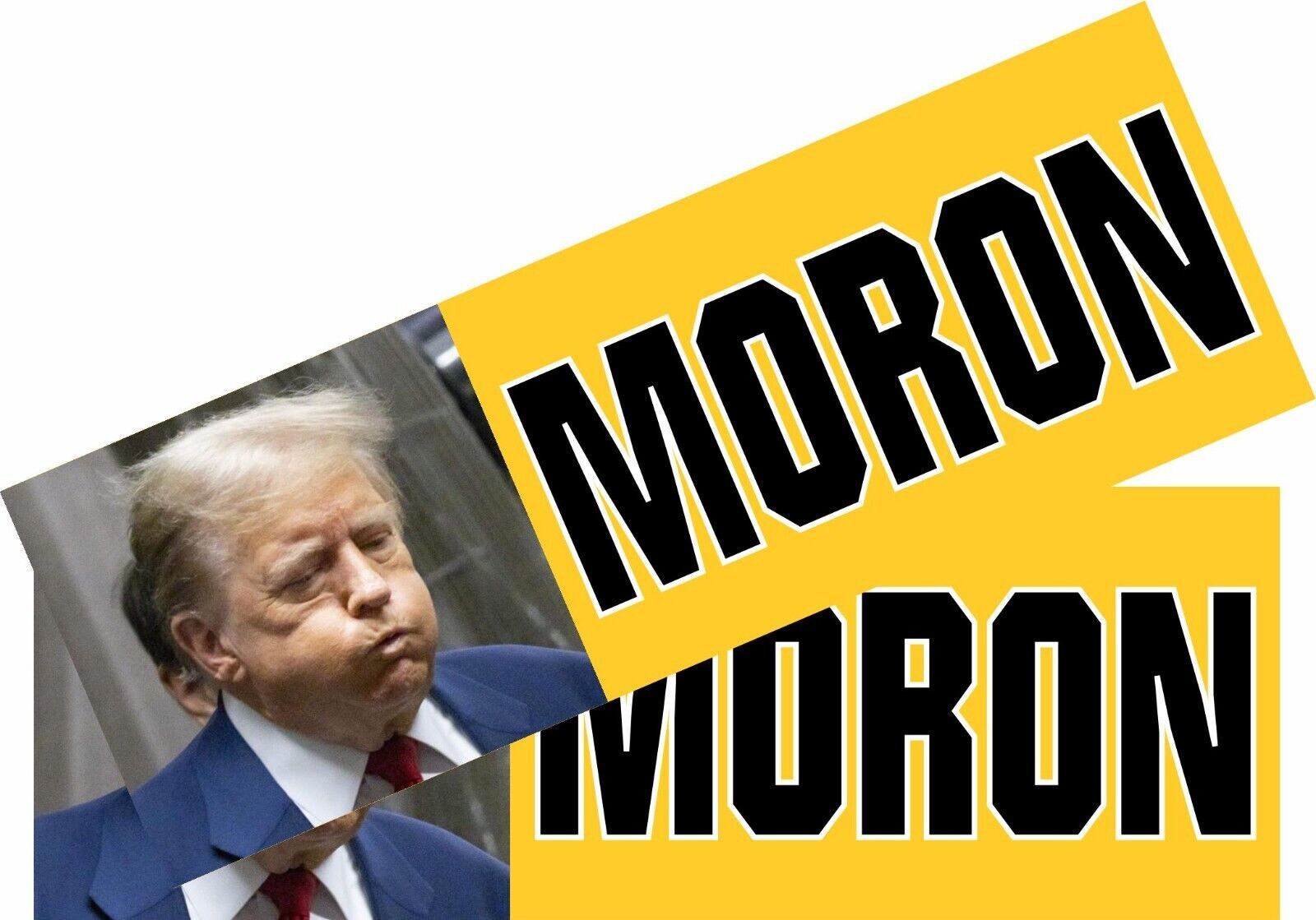 ANTI TRUMP Bumper Sticker or Magnet PAIR - MORON - ANTI Trump Sticker or... - $4.94+