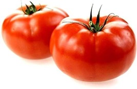 GIB 50 Seeds Easy To Grow Marglobe Tomato Vegetable Tomatoes - £7.19 GBP