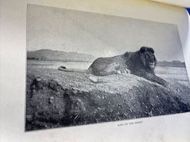 Item image 13