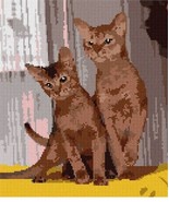 pepita Needlepoint Canvas: Abyssinian, 10&quot; x 12&quot; - £57.74 GBP