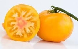 Azoychka Tomato 5 seeds (P 151) - £1.56 GBP