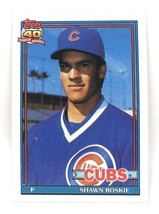 1991 Topps Baseball Card #254 - Shawn Boskie - Chicago Cubs - Pitcher - $0.99