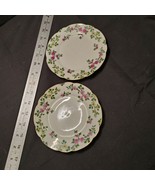 2 TRESSEMANN &amp; VOGT T&amp;V LIMOGES PLATES WITH HAND PAINTED PINK &amp; YELLOW F... - £27.77 GBP