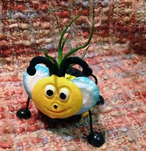 Tilla Critters Bumbly Bobby Bee One of a Kind Air Plant Creations from C... - £11.19 GBP