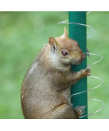 Squirrel Metal Spring Coil Barrier for Birdfeeder Pole Keep Squirrels Away - $9.79