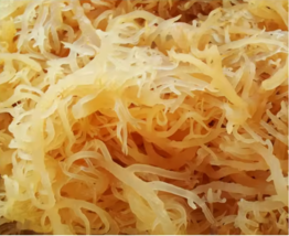 Premium Organic Sea Moss - Pure, Wildcrafted, Deep Ocean Harvested – 1lb. - $23.06