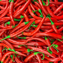 Spicy Pusa Jwala Pepper Seeds Indian Chilli Ideal Growing Your Own Hot Peppers G - £11.76 GBP