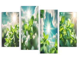 NEW! Ready To Hang 4 Panel Peppermint Leaves in Sunshine Wrapped Canvas WOW!  - £70.88 GBP