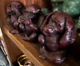 Item image 13