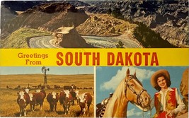 Greetings from South Dakota, vintage post card 1967 - £9.40 GBP