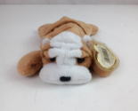 Vintage 1996 Ty Beanie Babies Wrinkles 8&quot; Collectible Bean Bag Plush Wit... - $16.82