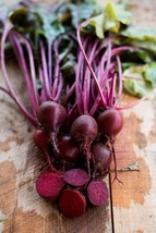 BEET CYLINDRA (FORMANOVA), 250 SEEDS R - $267.26 MXN