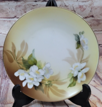 R S Tullowitz Silesia Germany Dessert Plate 8&quot; Floral Apple Blossom Hand... - $13.53