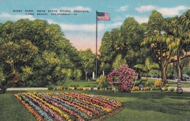 Bixby Park State Picnic Grounds Long Beach California CA Postcard B26 - £2.40 GBP