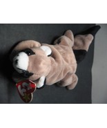 TY BEANIE BABY &quot;Ringo&quot; The Raccoon 1995 - Retired MWMT - $6.99