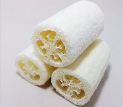 KKG Luffa Cylindrica Vine 10 Seeds Sponge Gourd Egyptian Cucumber Smooth... - $8.89
