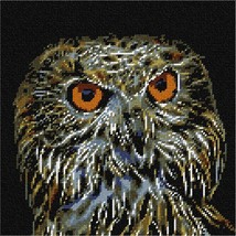 Pepita Needlepoint kit: Night Owl, 10&quot; x 10&quot; - £61.46 GBP+