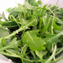 600 Arugula Roquette Lettuce Seeds Organic Salad Greens Spring Fall Container Fa - £10.12 GBP