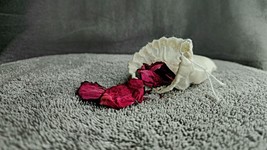 Botanical Bath Teas - $65.68 MXN