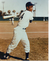 Ernie Banks pose A 8x10 photo - $5.00
