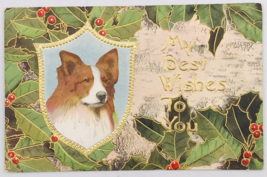 1911 TRG Embossed Framed Collie Dog Postcard w/ Holly My Best Wishes Postcard - £6.75 GBP