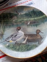 1986 The Pintail Duck by Bart Jerner Ceramic Plate 8.5&quot; - £4.76 GBP