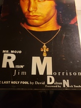 Mr. Mojo Risin&#39;: Jim Morrison, the Last Holy Fool c1991 St martin&#39;s 0312058993 - £15.98 GBP