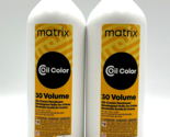 Matrix Coil Color 30 Volume Oil-Cream Developer 32 oz-2 Pack - $32.62