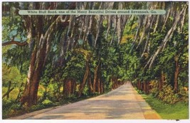 Georgia Postcard Savannah White Bluff Road - £1.75 GBP