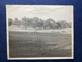 Steam Tractor Threshing in Field Antique Photo - $19.78