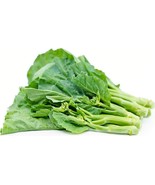 SEED-Chinese Spinach RedLeaf Amaranth &amp; Green Pearl Gai Lan Chinese Broc... - €3,02 EUR+