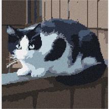 Pepita Needlepoint kit: Cat On Fence, 10&quot; x 10&quot; - £60.92 GBP+