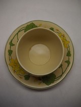 Villeroy And Boch Gravy Sauce Bowl Attached Under Plate Geranium Collection - $49.49