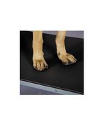 PUREPET Dog Grooming Table Top Mats Professional Non Slip Foam PVC Choos... - $92.12 CAD+