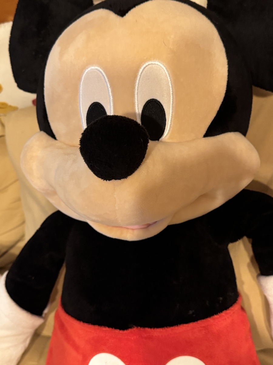 Full-size item image