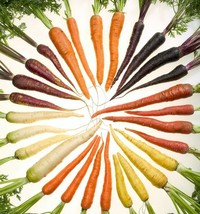 BPA 500 Seeds Rainbow Carrot Mix White Red Yellow Purple Orange Daucus CarrotaFr - £7.91 GBP