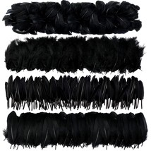 4 Styles Assorted Crafts Feathers, 400Pcs Black Feathers, Crafts Art Goose Feath - £22.77 GBP