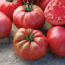 Mrs. Maxwell&#39;s Big Italian Tomato Seeds - Produces Dark Pink Beefsteak Fruits !! - £3.88 GBP