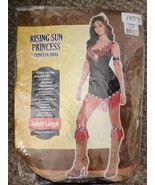 Rising Sun Princess Native American Costume Adult Large 6pc Dress Headba... - £11.28 GBP