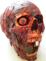 Halloween Horror Movie Prop Corpse Head Skull&quot;Bloody Bill&quot; - $110.00