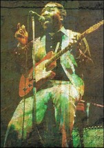 Muddy Waters live onstage with Fender Telecaster Guitar 8 x 11 pin-up photo - $4.23