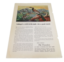 1940s The Travelers Insure  Paper Magazine Ad Water Turkey Art Aprox 8&quot; x6.5&quot; - $14.00