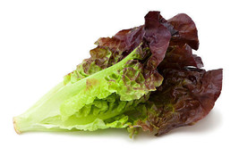 1000 RED ROMAINE LETTUCE VEGETABLE SEEDS FOR GARDEN - $7.00