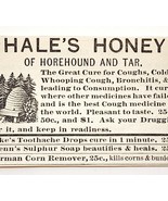 1885 Medical Hale&#39;s Honey Horehound Quack Medicine Advertisement Victori... - €17,08 EUR