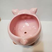 Pig Planter with Echeveria Succulent, Pink, Live Plant, Animal Succulent Planter image 9