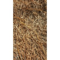 All Natural Fresh and Aromatic Georgia Pine Straw Needles 1 lb - £15.94 GBP