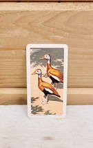 Red Rose Tea Mini Trade Card 2&quot; x 1&quot; Vintage 1963 S6N5 Tree Duck Birds - $19.99
